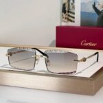 Cartier CLASSIC C DE CARTIER MOTIF CT0916 Sunglasses 🐆