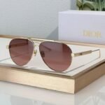 DIOR Dior DiorCannage A1U Sunglasses ✨