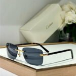 Cartier PREMIÈRE DE CARTIER CT0216OA Sunglasses 🐆 $1200