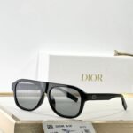 DIOR CD Icon A1F Transparent Beige Pilot Sunglasses ✨