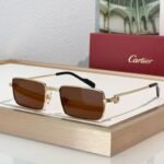 Cartier PREMIÈRE DE CARTIER CT501S Sunglasses 🐆