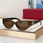 Valentino Vain Light VG0014S 001 Sunglasses✨