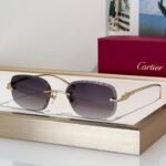 Cartier CLASSIC C DE Motif Photochromic - Panthere CT0832 Sunglasses 🐆