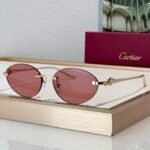 Cartier PREMIÈRE Panthère Classic 58MM Oval Photochromic Sunglasses 🐆