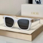 DIOR Sunglasses CDior S1F Sunglasses✨