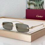 Cartier PREMIÈRE DE CARTIER CT505S Sunglasses-Photochromic Glasses 🐆
