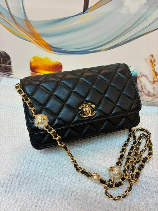 Chanel 8805 Wallet on Chain – Black, 19 cm